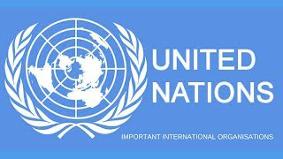 15 UN organizations